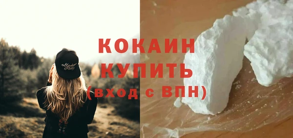 прущая мука Вяземский