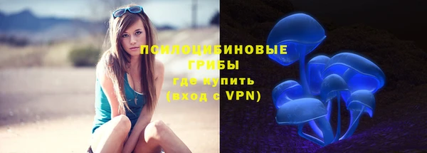 прущая мука Вяземский