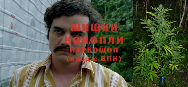 прущая мука Вяземский