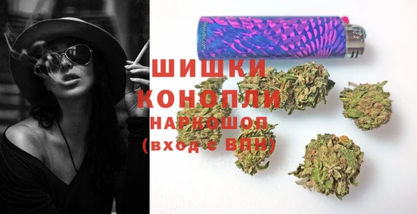 прущая мука Вяземский
